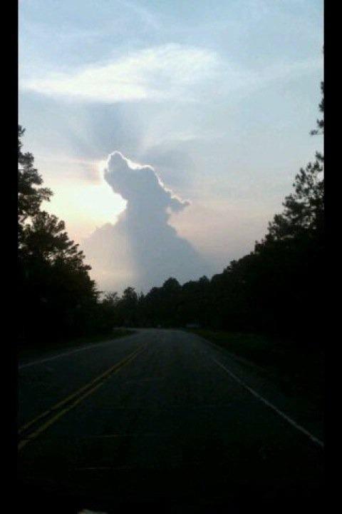 wolkenhund.jpeg